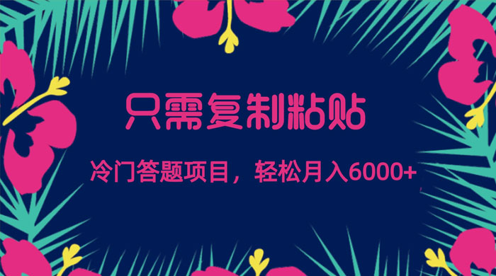 只需复制粘贴，冷门答题项目，轻松月入 6000-就去找资源网