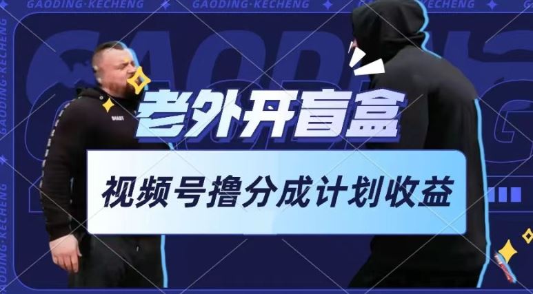 老外开盲盒视频,撸视频号分成计划收益,每天只需一小时,新手小白轻松上手【揭秘】-就去找资源网