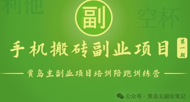 手机搬砖小副业项目训练营1.0,实测1小时收益50+,一部手机轻松日入100+-就去找资源网