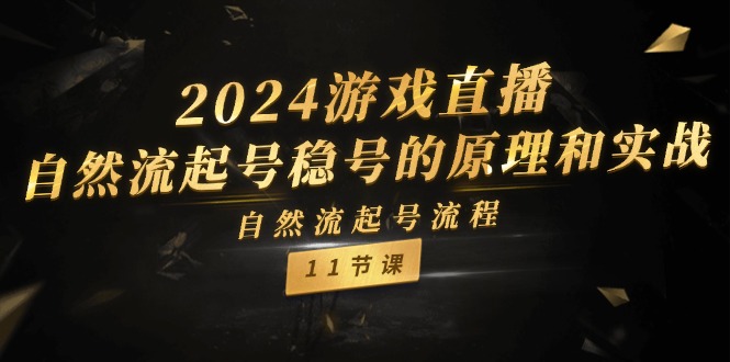 （11653期）2024游戏直播-自然流起号稳号的原理和实战，自然流起号流程（11节）-就去找资源网