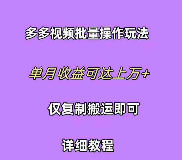 (10029期)拼多多视频带货快速过爆款选品教程 每天轻轻松松赚取三位数佣金 小白必…-就去找资源网