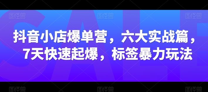 抖音小店爆单营,六大实战篇,7天快速起爆,标签暴力玩法-就去找资源网