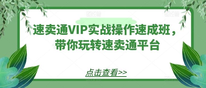 速卖通VIP实战操作速成班,带你玩转速卖通平台-就去找资源网