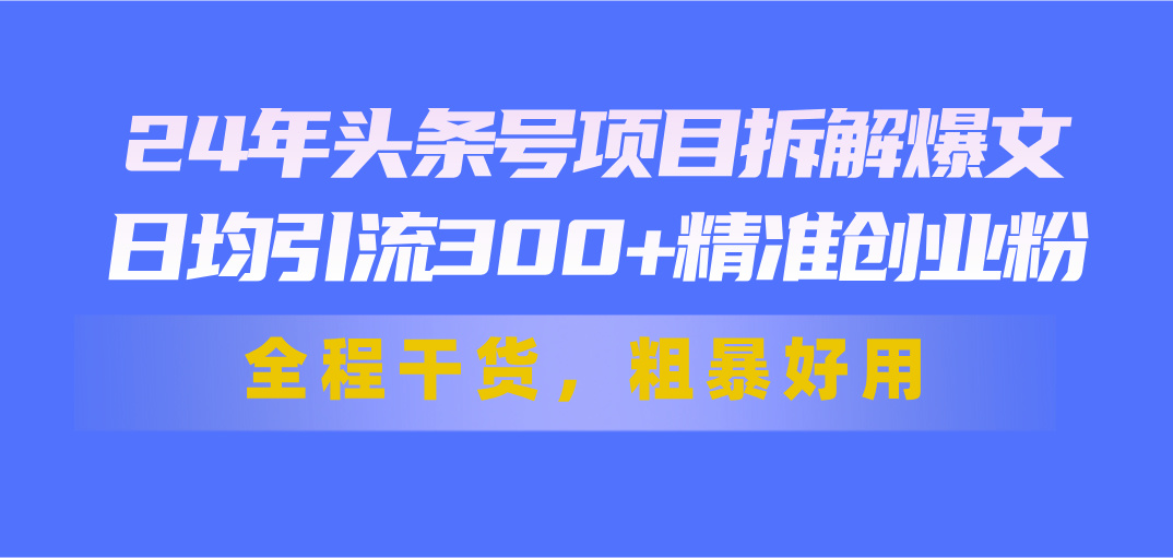 （11397期）24年头条号项目拆解爆文，日均引流300+精准创业粉，全程干货，粗暴好用-就去找资源网