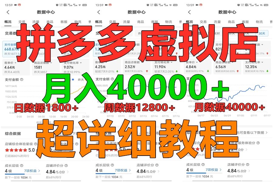 拼多多虚拟电商训练营月入40000+，全网最详细，你做你也行，暴利稳定长久-就去找资源网