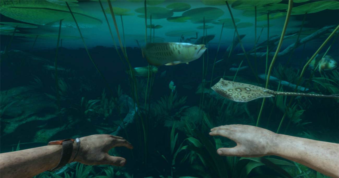 《绿色地狱》v2.5.2中文版-趣奇资源网-第12张图片 《绿色地狱》v2.5.2中文版-趣奇资源网-第12张图片