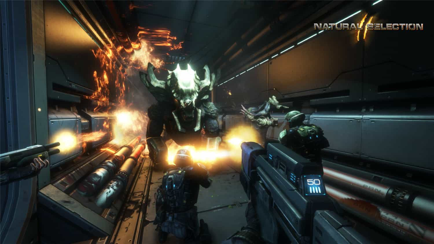 《物竞天择2》Build.344原版英文-趣奇资源网-第10张图片 《物竞天择2》Build.344原版英文-趣奇资源网-第10张图片