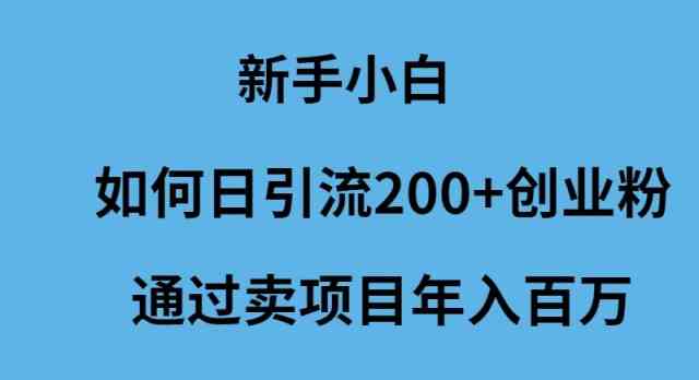 （9668期）新手小白如何日引流200+创业粉通过卖项目年入百万-就去找资源网