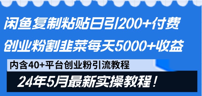 闲鱼复制粘贴日引200+付费创业粉，24年5月最新方法！割韭菜日稳定5000+收益-就去找资源网