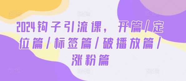 2024钩子引流课，开篇/定位篇/标签篇/破播放篇/涨粉篇-就去找资源网