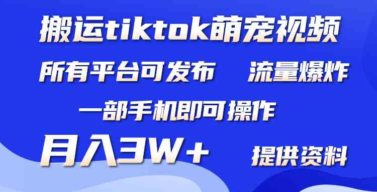 （9618期）搬运Tiktok萌宠类视频，一部手机即可。所有短视频平台均可操作，月入3W+-就去找资源网