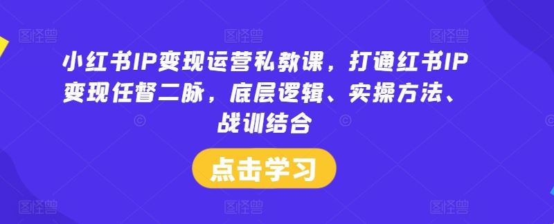 小红书IP变现运营私教课,打通红书IP变现任督二脉,底层逻辑、实操方法、战训结合-就去找资源网