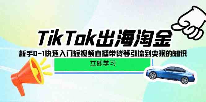 （10035期）TikTok-出海淘金，新手0-1快速入门短视频直播带货等引流到变现的知识-就去找资源网
