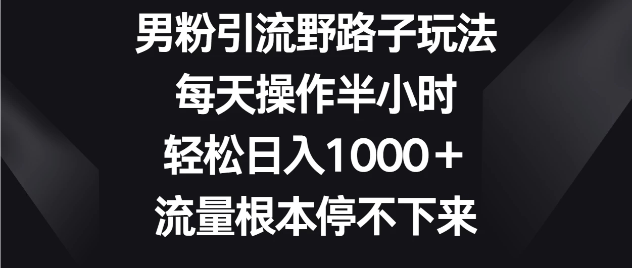 男粉引流野路子玩法，每天操作半小时轻松日入1000＋，流量根本停不下来-就去找资源网
