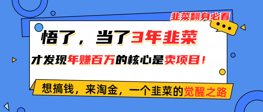 (10759期)悟了,当了3年韭菜,才发现网赚圈年赚100万的核心是卖项目,含泪分享!-就去找资源网