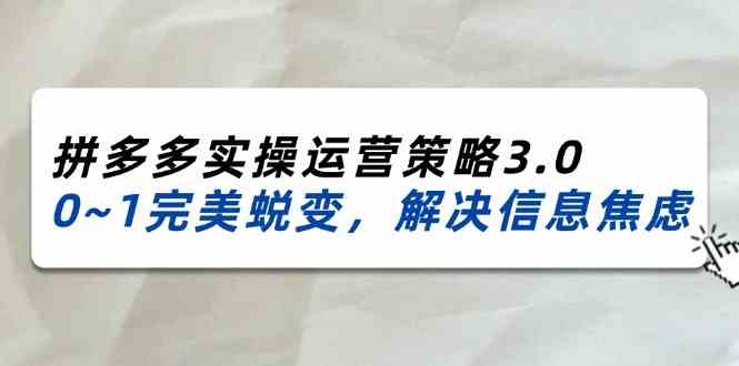 2024-2025拼多多实操运营策略3.0，0~1完美蜕变，解决信息焦虑（38节）-就去找资源网