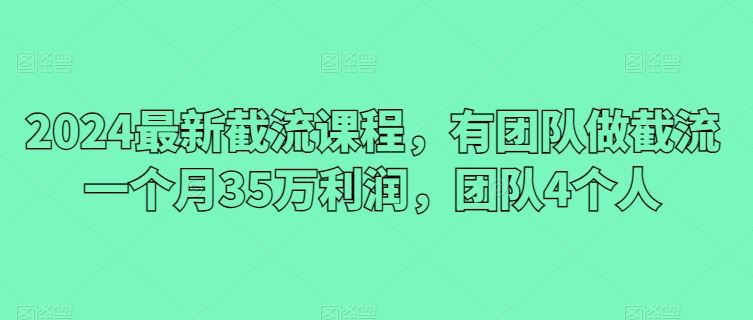 2024最新截流课程，有团队做截流一个月35万利润，团队4个人-就去找资源网